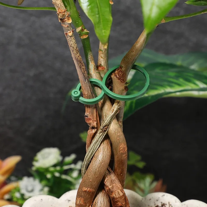 50-400個入り 植物サポートクリップ 耐候性プラスチック - Vine Climbing Plastic のレビューと価格