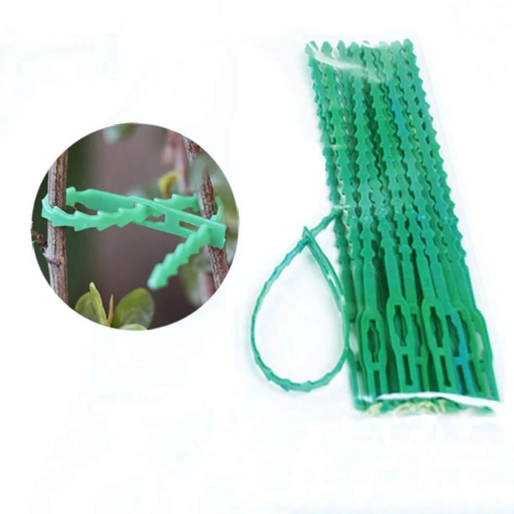 50個入り 調整可能なプラスチック製植物用ケーブルタイ 再利 - Vine Climbing Plastic のレビューと価格