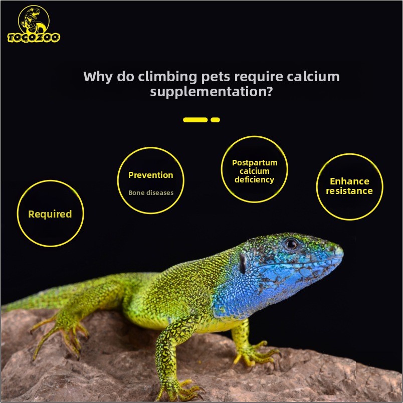 TOGOZOO WILDCAL 爬虫類カルシウムパウダー D - Calcium Powder Reptile のレビューと価格