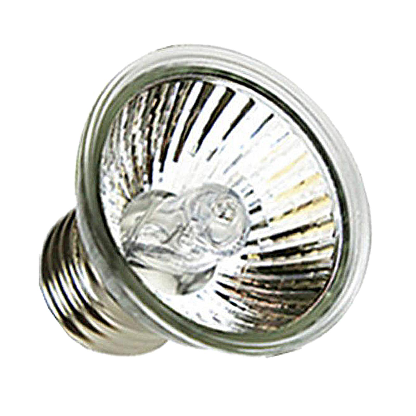 UVA UVB 爬虫類用ヒートランプ ハロゲン電球 クリップ - Basking Bulb Halogen のレビューと価格