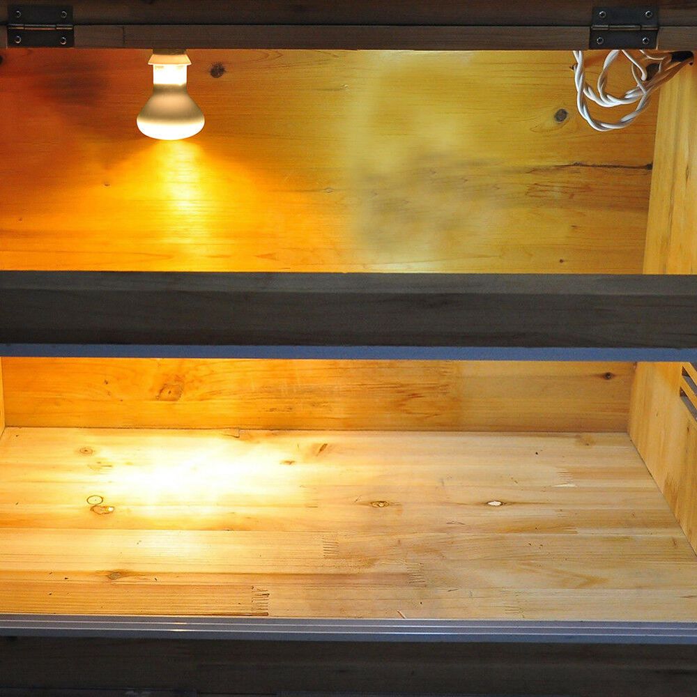 両生類用ヒートランプヒーター ハロゲン電球 日光浴用ライト  - Basking Bulb Halogen のレビューと価格