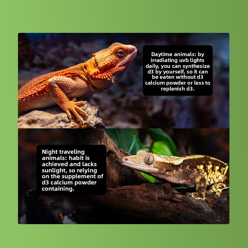 Reptizoo 爬虫類カルシウムパウダー & D3 - カ - Calcium Powder Reptile のレビューと価格