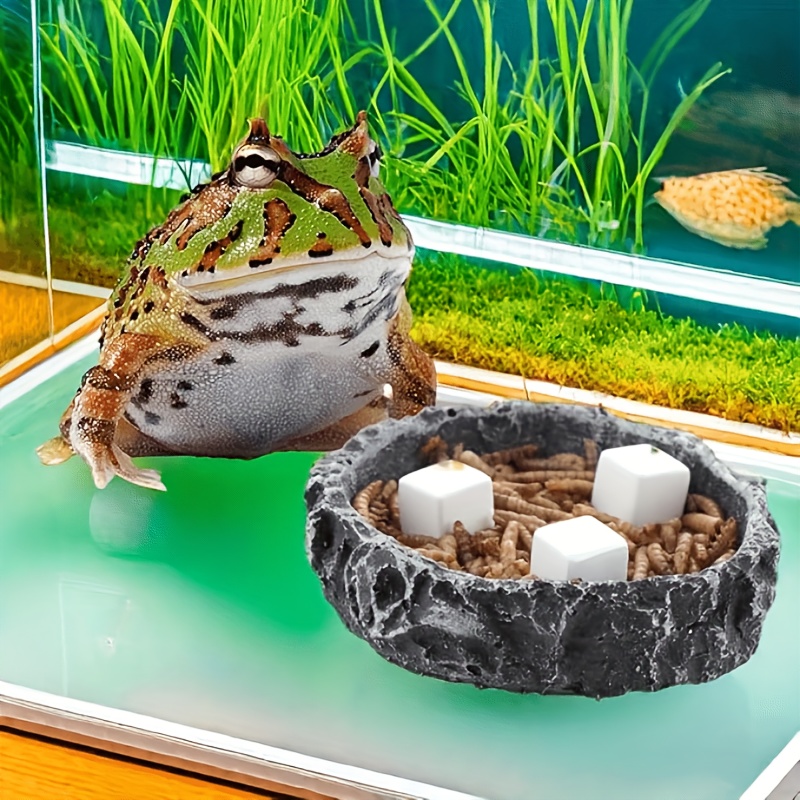 6個入り水槽用カルシウムブロックミネラル、爬虫類用研磨キュー - Calcium Powder Reptile のレビューと価格