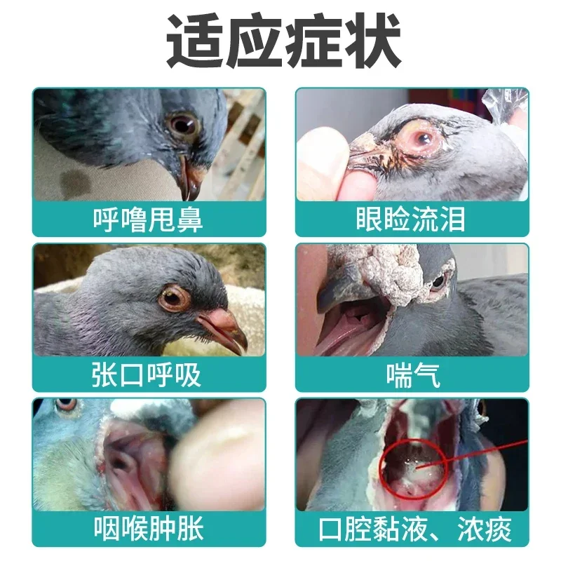 オウムの肉 ハト 鶏 アヒル ガチョウ 家禽の使用 ビタミン - Vitamin D3 Reptile のレビューと価格